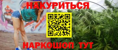 каннабис Кандалакша