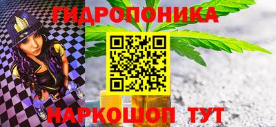 прущие грибы Канаш