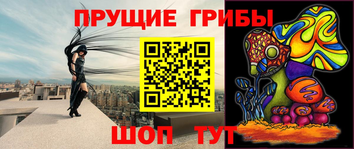 Галлюциногенные грибы Psilocybe  Псилоцибиновые грибы Psilocybine cubensis  Кудымкар  Вход с VPN 