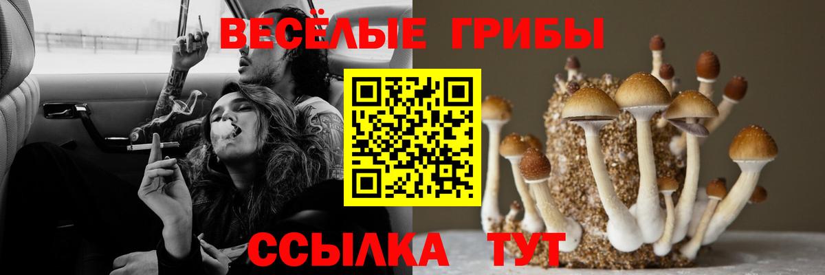 Галлюциногенные грибы мицелий Кудымкар